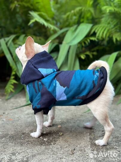 Футболка для собак