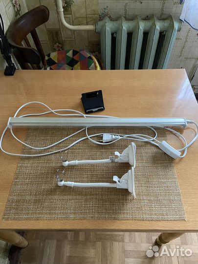 Набор для начинающего суккулентолюба