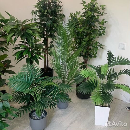 Искусственные растения (дерево) декоративные