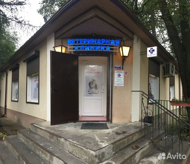 Ветеринарный врач