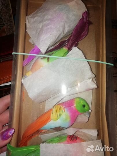 Попугаи украшения СССР