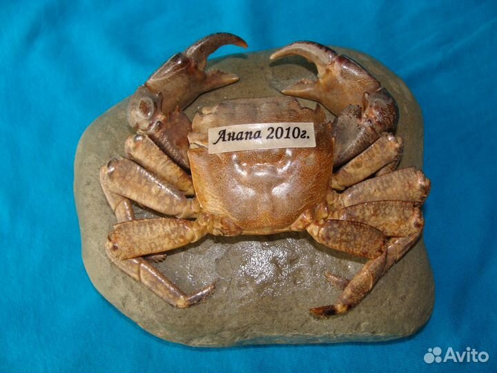 Сувенир краб