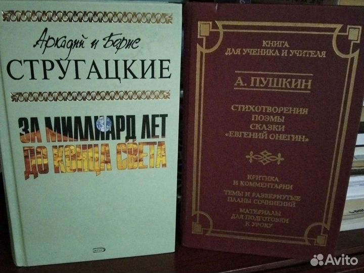 Книги, разные жанры, ещё есть две книги по китайск