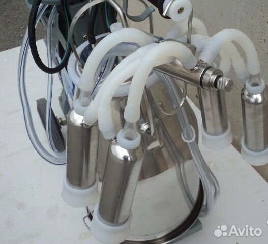 Доильный аппарат Милка коллектор Moren