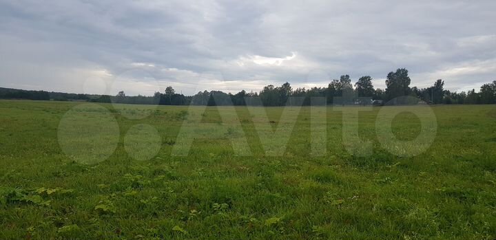 Участок 4,33 га (СНТ, ДНП)