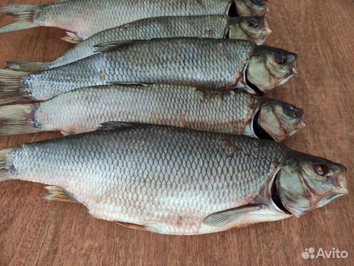 Вкусная рыба