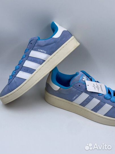 Кроссовки Adidas wmns Campus Ash Blue