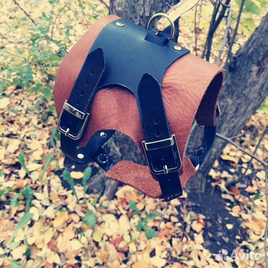 Шлейка для собак