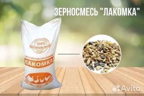 Пшеница,Ячмень,Овёс,кукуруза,зерносмесь,комбикорм