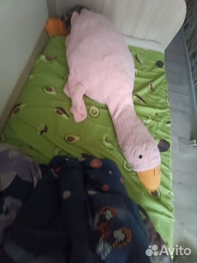 Гусь обнимусь