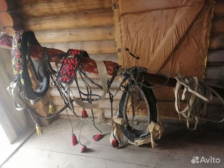 Сбруя для лошади, выездная