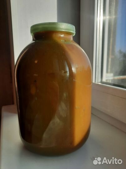 Мёд Алтайский 3 литра