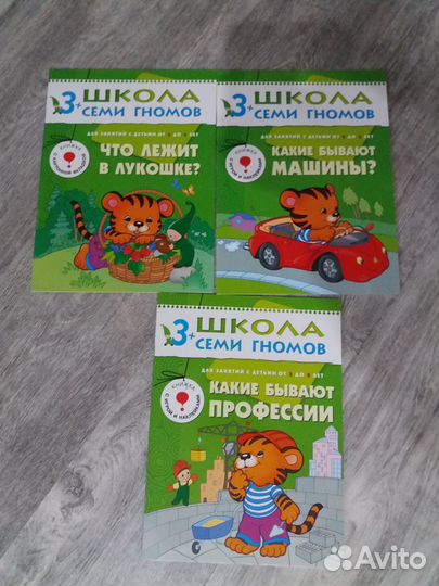 Школа семи гномов