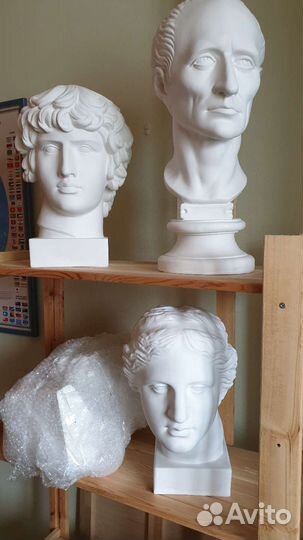 Гипсовая голова