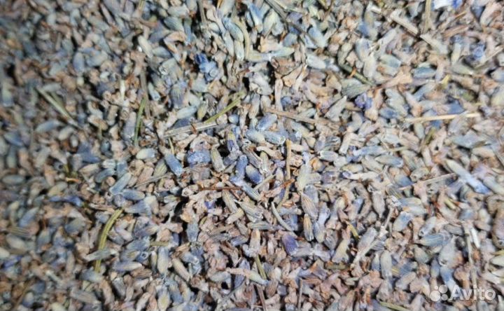 Лаванда крымская цветки 500 гр