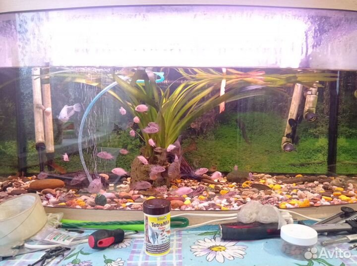 Аквариум