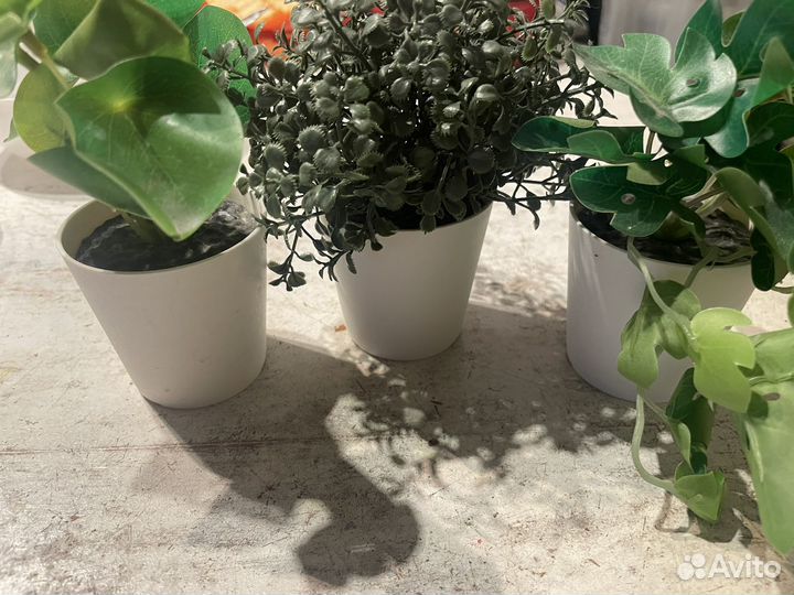 Искусственные растения IKEA