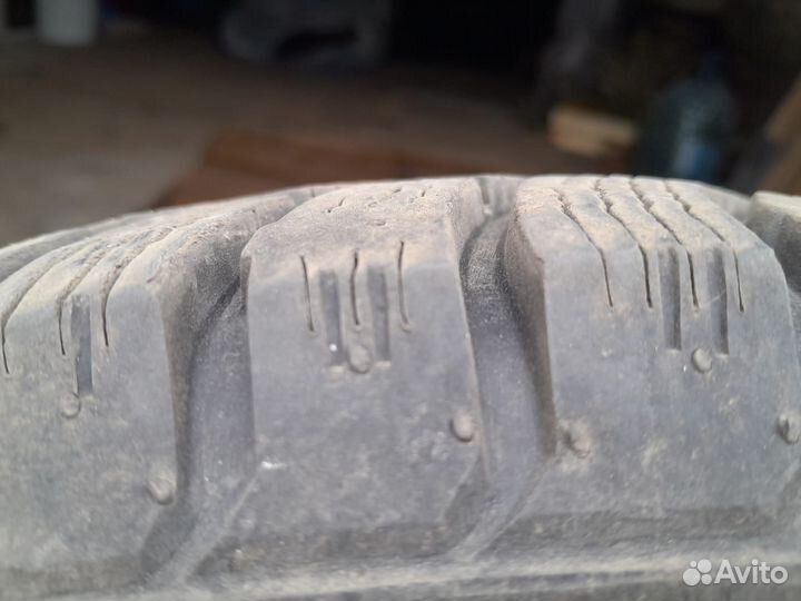 Nord Wolf Cargo 195/55 R15