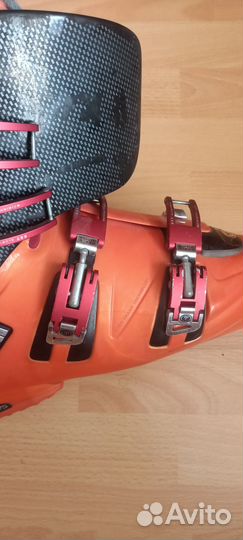 Горные лыжи