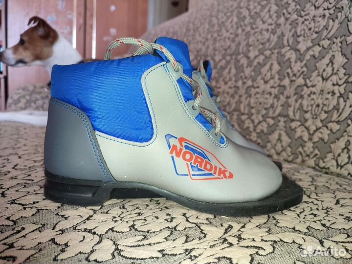 Лыжные ботинки