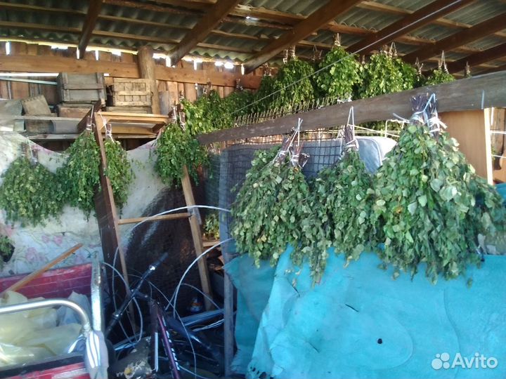 Веники для бани