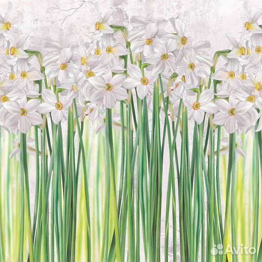 Дизайнерские фотообои 