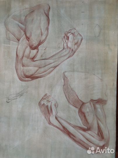 Академический рисунок на заказ/ живопись