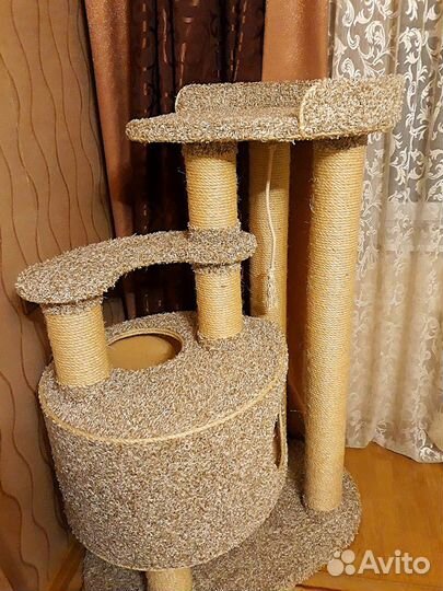 Когтеточка-комплекс для кошки