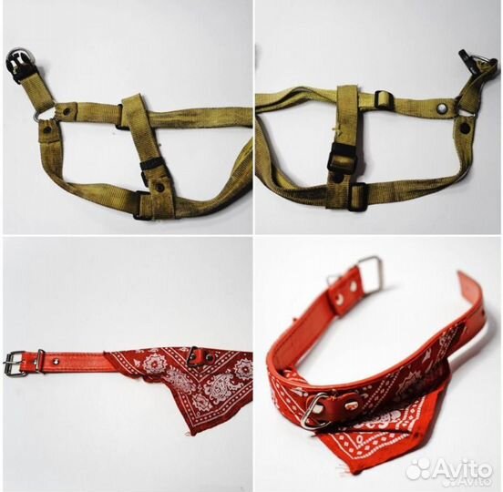 Товары для собак и кошек разные