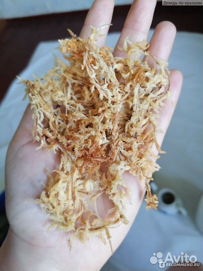 Мох сфагнум Spagmoss