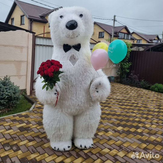 Белый мишка поздравление