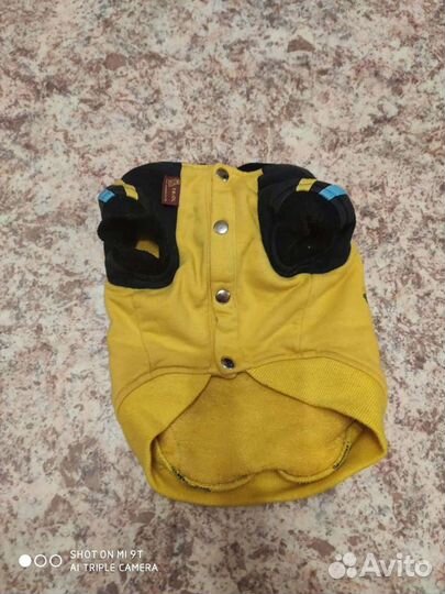 Одежда для собак