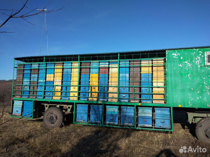 Пчеловодство