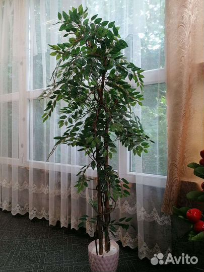 Искусственные деревья и цветы