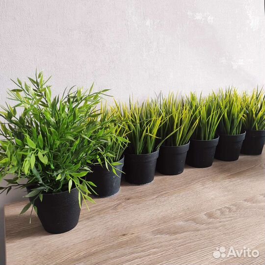 Цветы Икеа кашпо