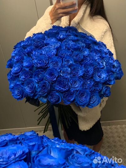 Синие розы 25 роз 51 роза 101 роза