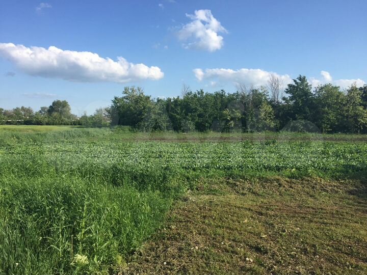 Дом 35,9 м² на участке 40 сот.