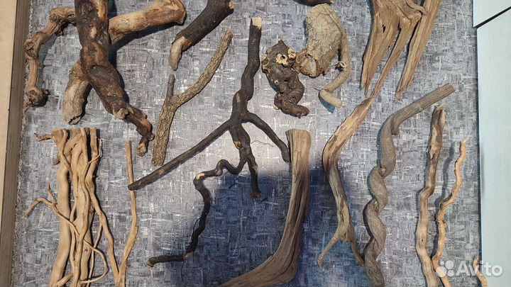 Доставка / Коряги, лиана, корни, листья магнолии