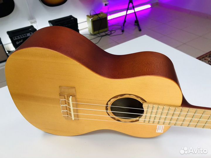 Укулеле Концерт Новая