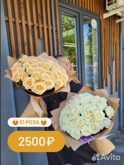 Розы Новороссийск Доставка Цветы