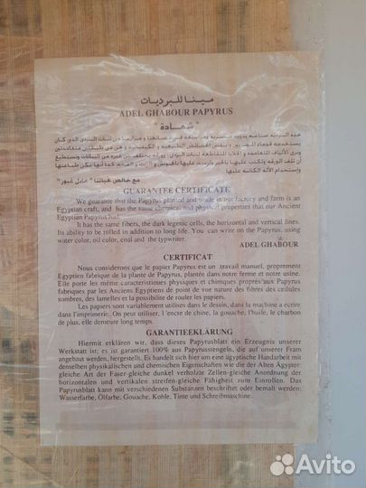 Папирус из Египта