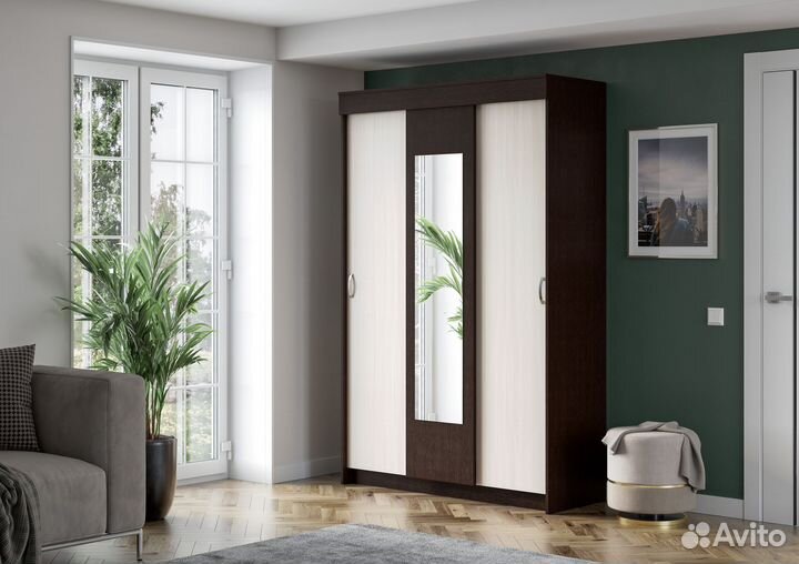 Шкаф-купе Бася