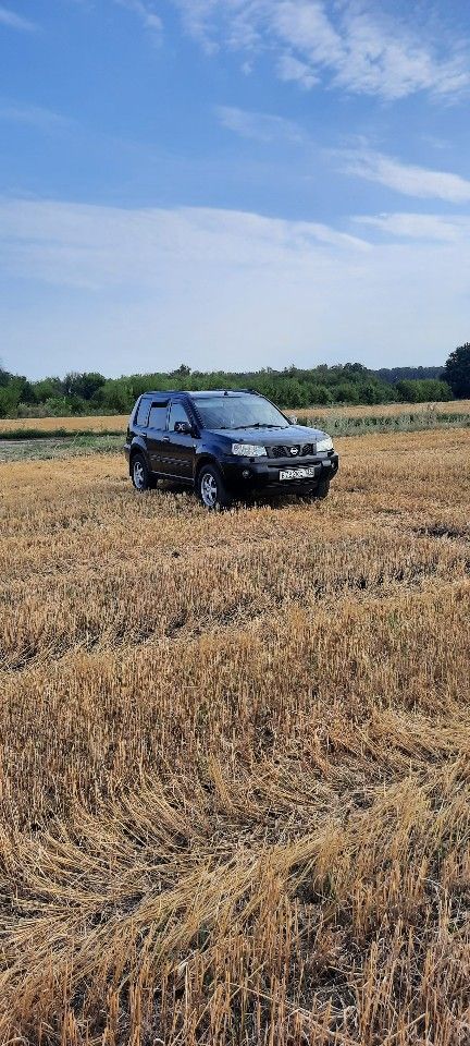 Nissan X-Trail: фото владельца