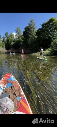 Тур на сап борде по Оредежу - с трансфером