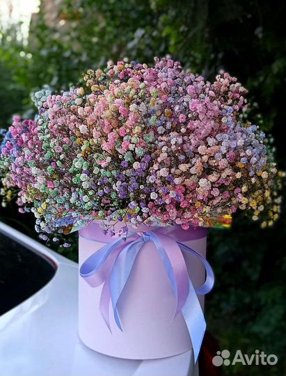 Гипсофила в коробке