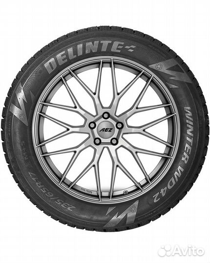 Delinte Winter WD42 225/55 R19 103T