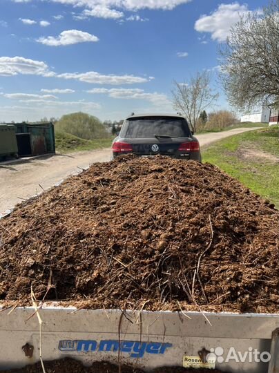 Конский навоз