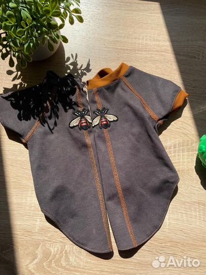 Одежда для собак