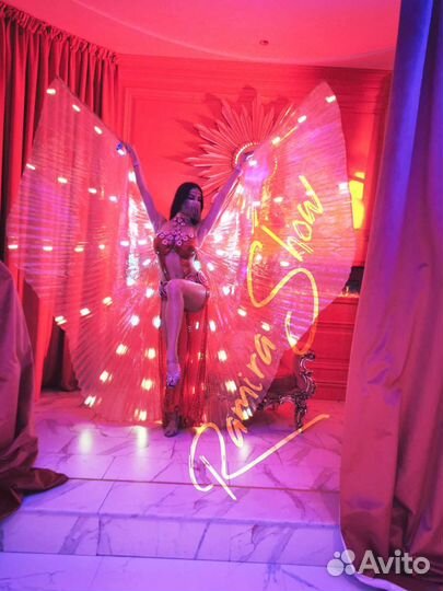 Танец Живота,Восточные танцы,Шоу Балет, Гоу Гоу