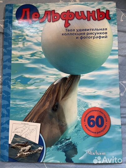 Расскраска постепы Детеныши дельфины махаон